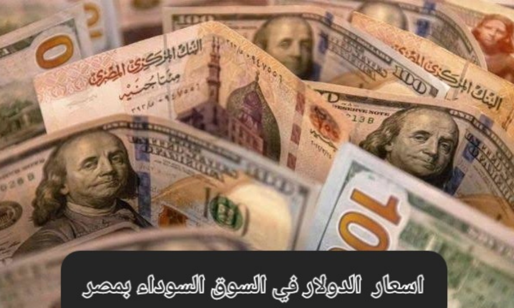 سعر صرف الدولار مقابل الجنيه المصري
